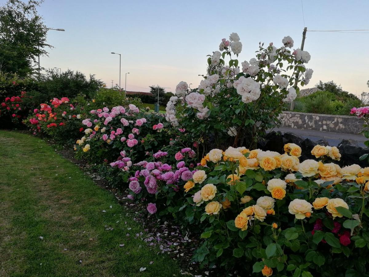 Fox Heaven B&B Carrickfergus Exterior foto